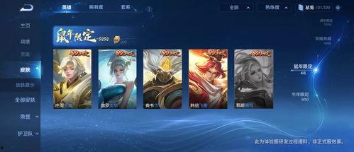 源梦皮肤体验服最新爆料,神秘皮肤即将亮相，视觉盛宴即将开启！